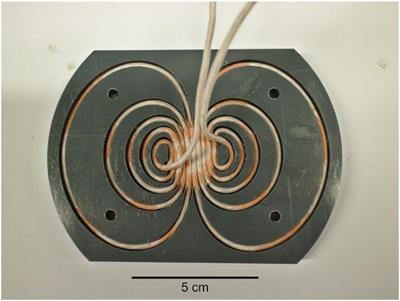 Transcranial magnetic stimulation set-up for small animals